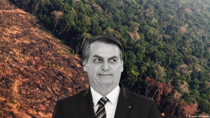 Amazonia amenazada: con Bolsonaro se perdió una superficie similar a El Salvador 