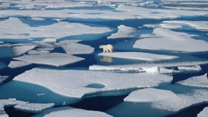 Groenlandia perdió un millón de toneladas de hielo por minuto durante 2019