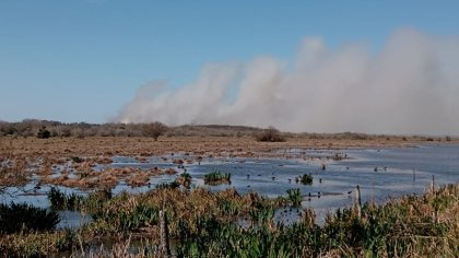 Urgente: varios focos de incendio en los humedales de Hudson 