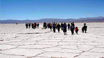 #LeyDeHumedales: los salares tienen que ser protegidos del extractivismo de litio y el lobby minero