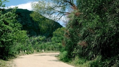 Córdoba: una resolución habilita la destrucción del monte nativo en caminos y rutas