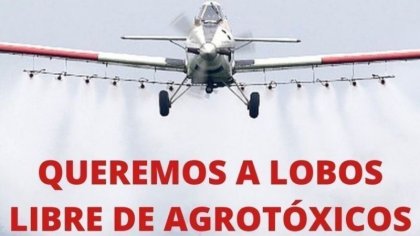 Lanzan campaña por “Lobos libre de agrotóxicos”