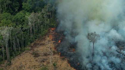 La Amazonia podría convertirse en sabana en 50 años por el agronegocio y la crisis climática