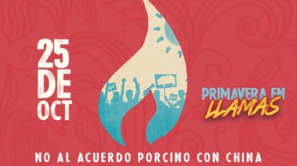 #PrimaveraEnLlamas: festival virtual contra el acuerdo porcino entre China y Argentina