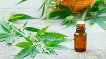 Nueva reglamentación para el uso de cannabis medicinal en Mendoza