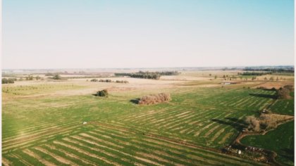 Concejo de Lobos: se habilitó el debate para el tratamiento de proyectos sobre el uso de agrotóxicos