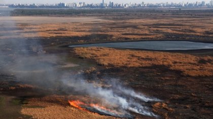 Media sanción a la reforma de la ley de manejo del fuego: el negocio no se acaba