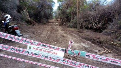 Salsipuedes: una reserva de bosque nativo donde solo suceden desmontes