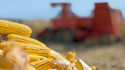 Productores del campo amenazan con un paro