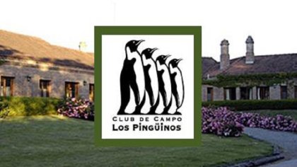 Ricos y colgados: hallan conexiones ilegales a la luz en country Los Pingüinos