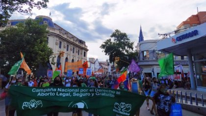 Inconstitucionalidad del aborto: en Salta no se habilitará la feria para tratarlo