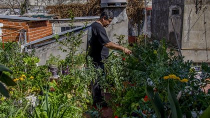 El Gobierno porteño quiere desalojar una huerta comunitaria en Chacarita