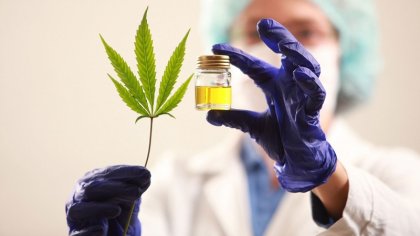 Cannabis medicinal: se autorizó un proyecto de investigación de la planta y sus derivados