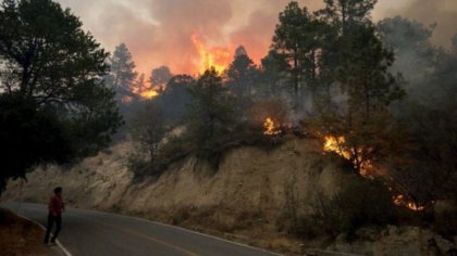 Devastadora temporada en México: 80% del país ha registrado un incendio forestal