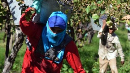 Equipos de ropa de trabajo para trabajadores de viña: comenzó a debatirse en la Legislatura de Mendoza 