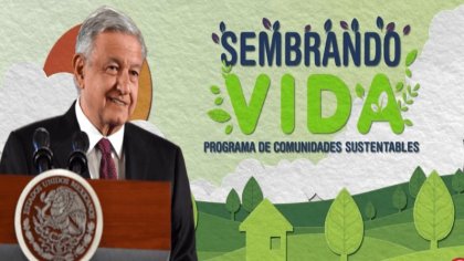 Sembrando Vida no es un programa ambiental