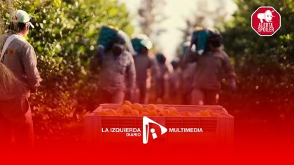 Conversamos con Julio, trabajador del citrus de Tucumán - YouTube