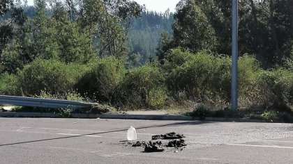 Fallece hombre que se quemó a lo bonzo producto de deudas y situación laboral