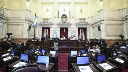 El Senado aprobó la declaración para pedirle a Guzmán que no use la plata del FMI para pagar la deuda