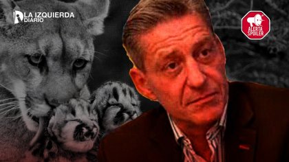 ✋&#127996; CHUBUT: OTRA LEY CONTRA EL AMBIENTE | El gobernador Arcioni promueve la caza de zorros y pumas - YouTube