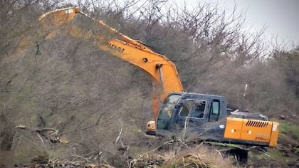 Intentan detener la destrucción de los márgenes del arroyo