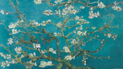 El descendiente de Van Gogh que rescató toda la obra del artista