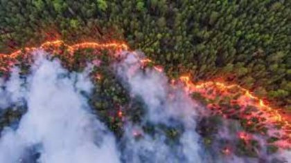 Incendios en Siberia llegan al Polo Norte