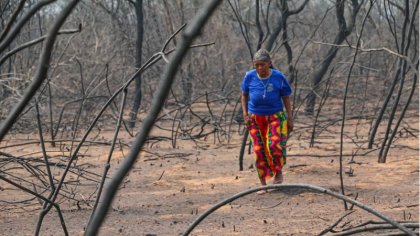 Se agudizan las presiones sobre la tierra: al medio del desastre quedan los pueblos indígenas y la biodiversidad