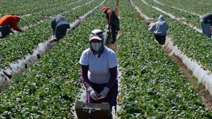 Crece el desempleo y el trabajo informal en la población migrante