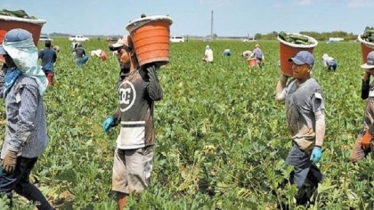 Tiendas de raya y jornadas de 18 horas: jornaleros mexicanos en Canadá