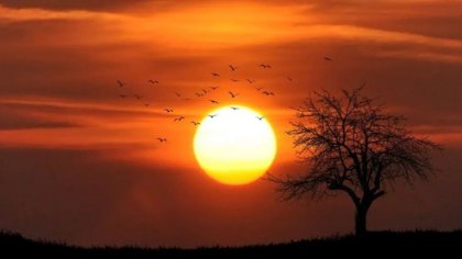 Solsticio de verano: qué significa y cuándo fue