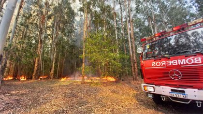 Grave incendio en Parque Pereyra arrasa con más de 70 hectáreas de bosque