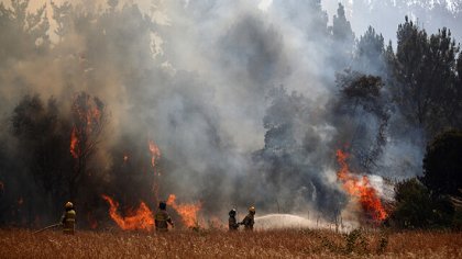 Grandes incendios forestales: Una industria responsable y un estado deficiente