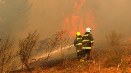 #ApaguenElFuegoYA: el gobierno decretó la Emergencia Ígnea en todo el país