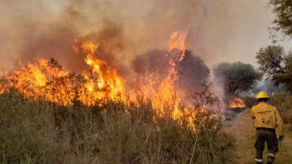 Tras 2 semanas de declarada la emergencia ígnea: hay 9 provincias afectadas por incendios