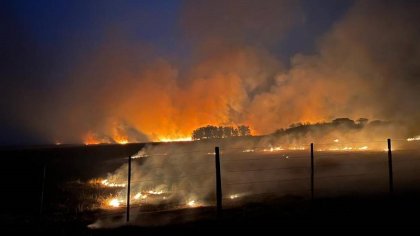 Incendios: en medio de una catástrofe anunciada, Valdés declaró a Corrientes "zona de desastre ecológico y ambiental"