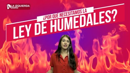 Necesitamos una Ley de Humedales ya ¿Por qué? - YouTube