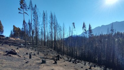 Lo que el fuego nos legó