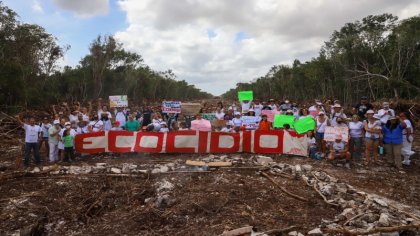 #SelvaMeDelTren: ambientalistas lanzan campaña en defensa de la selva, cenotes y ríos subterráneos 