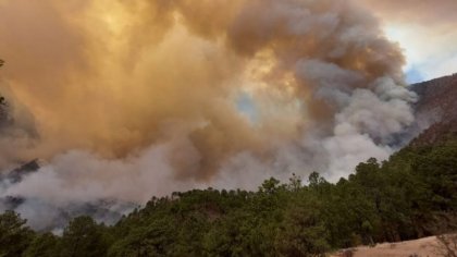 En medio de la escasez del agua, alza de temperatura provoca 180 incendios en Nuevo León