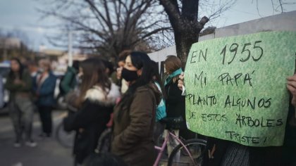 Vecinos autoconvocados marcharon contra la destrucción del arbolado histórico de la plaza central 