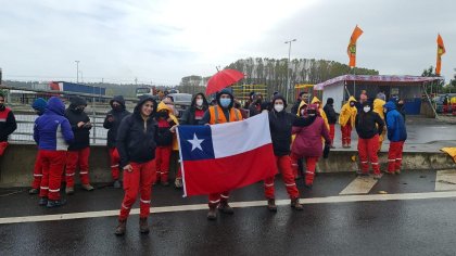 Trabajadoras de “Viveros Arauco” denuncian precarias condiciones laborales.