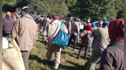 Nuevo paro de cosecheros en finca de ArgentiLemon, las patronales no cumplen la paritaria