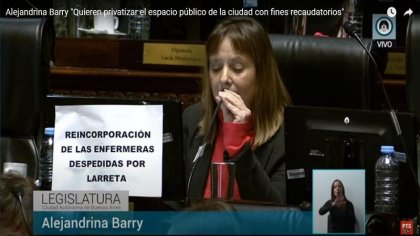 Alejandrina Barry "Quieren privatizar el espacio público de la ciudad con fines recaudatorios" - YouTube