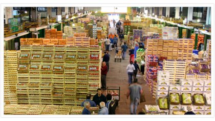 Precarización y trabajo infantil en el Mercado central