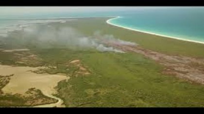 Provocado el incendio en isla Holbox: PROFEPA