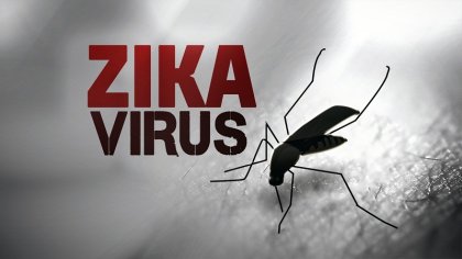 Confirman la primera muerte por Zika en Argentina