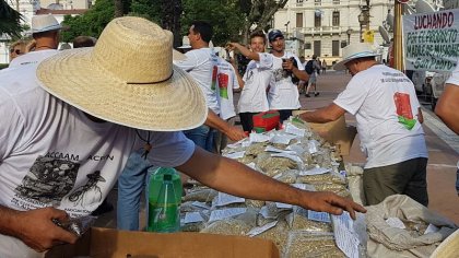 #Yerbatazo: productores regalan 30 mil kilos de yerba en protesta