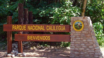 Precarización y despido en el Parque Nacional Calilegua