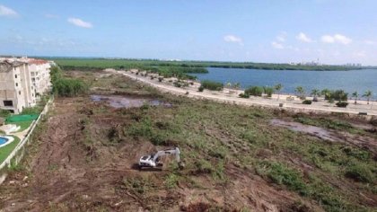 Pobladores y ambientalistas ganan amparo en defensa del manglar de Tajamar